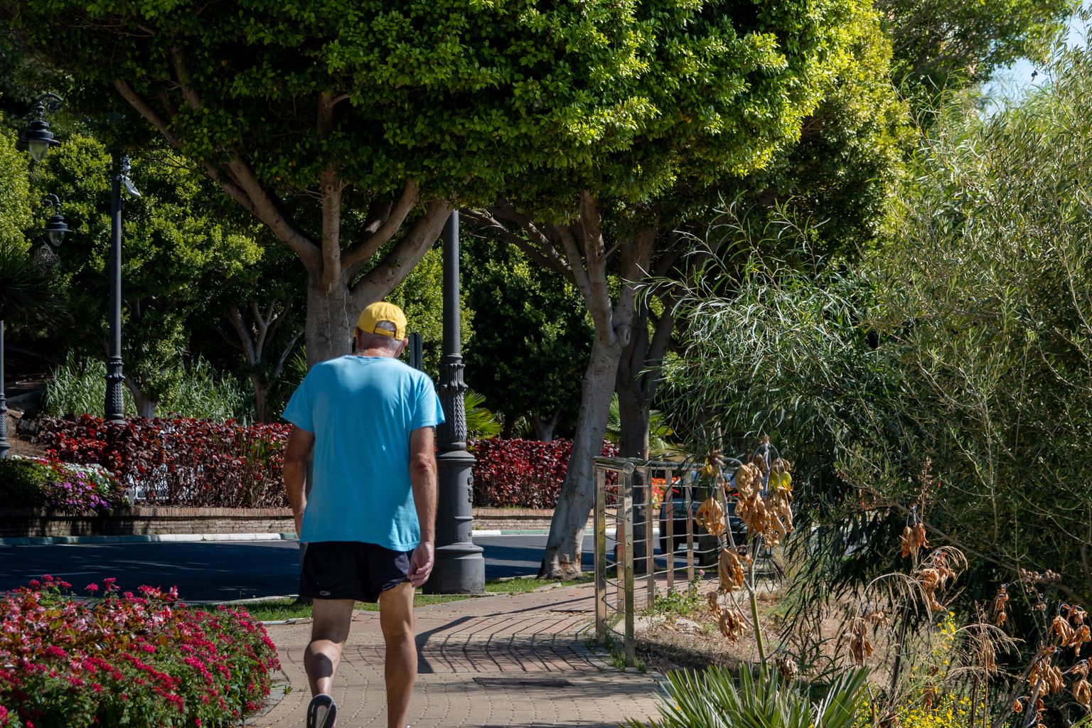 Man walking at a brisk pace in a sunny park