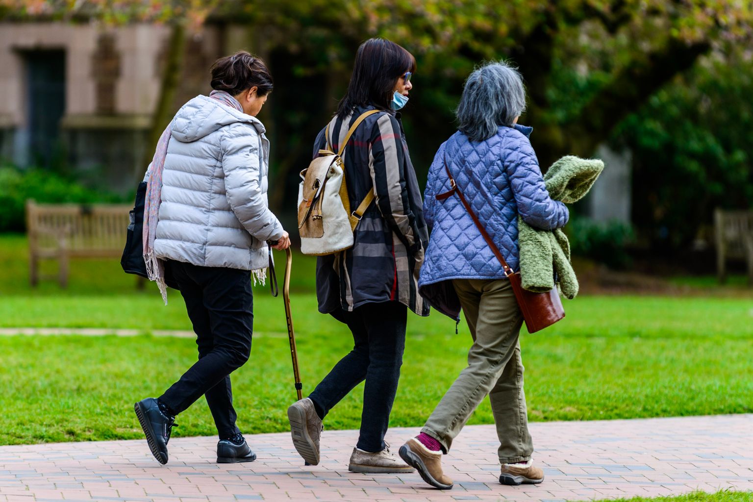 short daily walk for lower back pain